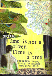 Time is a Tree by Dianne Forrest Trautmann from VG9